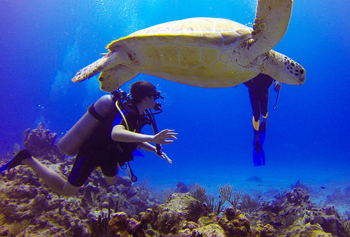 Picture Actividades y atracciones en la isla de Cavallo