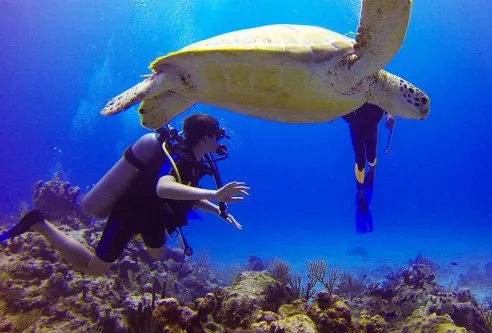 Activités - Voir le détail
