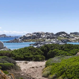 Les excursions et randonnées sur l'ile de Cavallo - Voir le détail