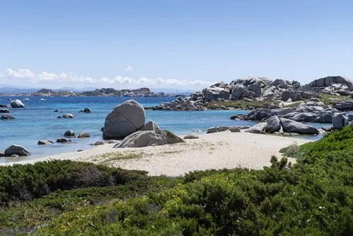 Excursions - Voir le détail