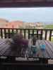 Ile de Cavallo - Appartamento - 2 camere da letto - picture 3